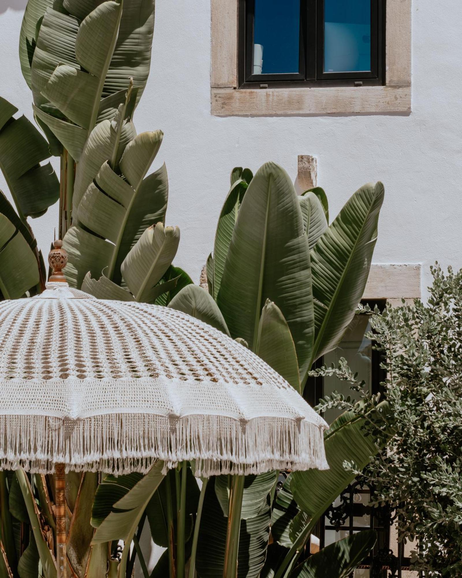 מלון Santarém A Casa Brava מראה חיצוני תמונה